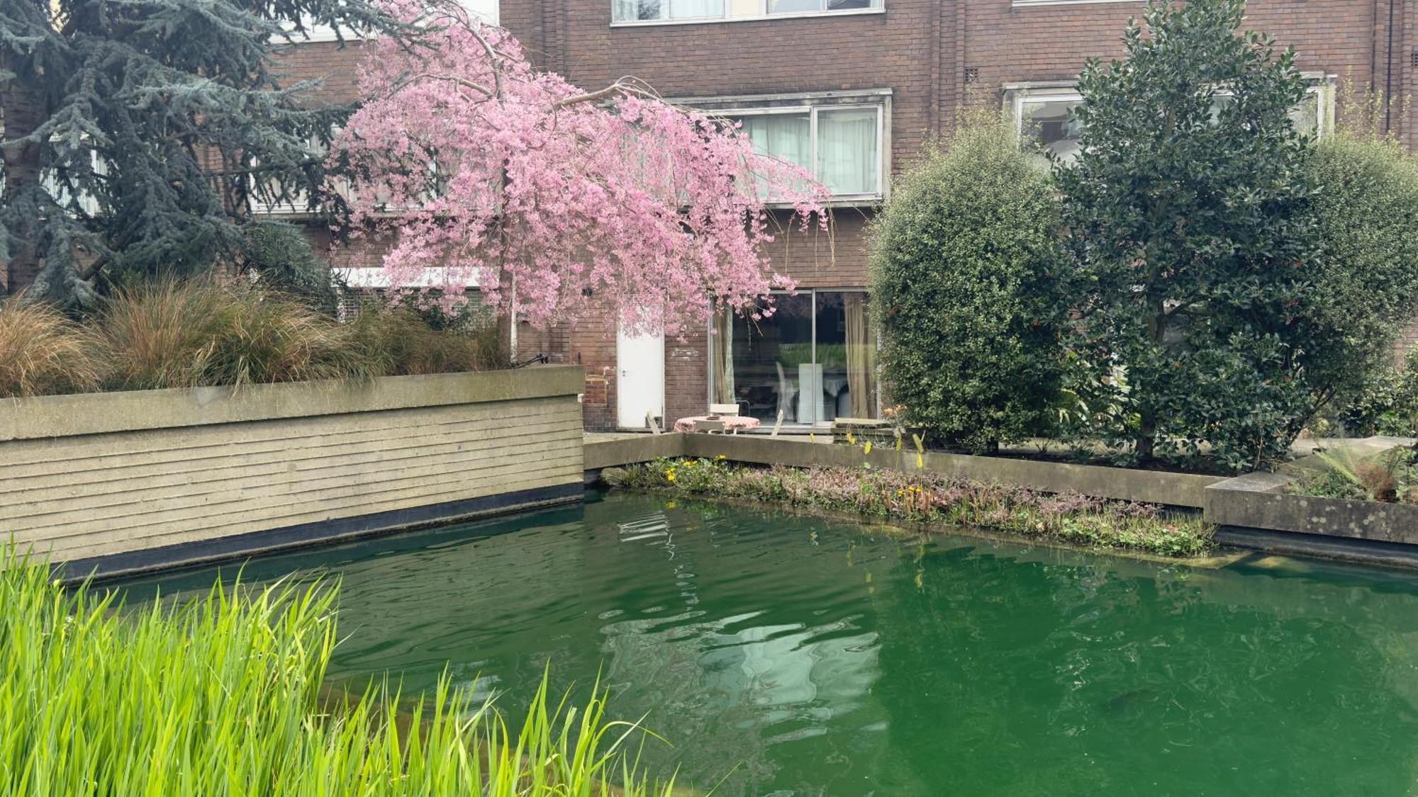 Luxury 2 Bedroom By Aljoori * Londra